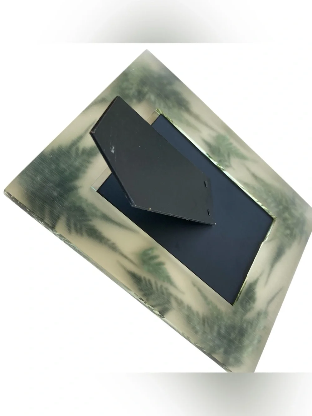 Lucite MCM Thick Fern Fronds Pressed Botanical Photo Picture Frame 4x6